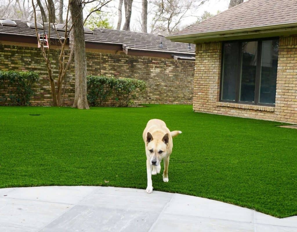 Pet Turf Artificial Grass for Dogs [EcoFriendly] // ATI