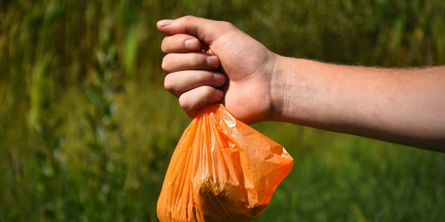 Artificial Turf Maintenance How To Clean Artificial Grass