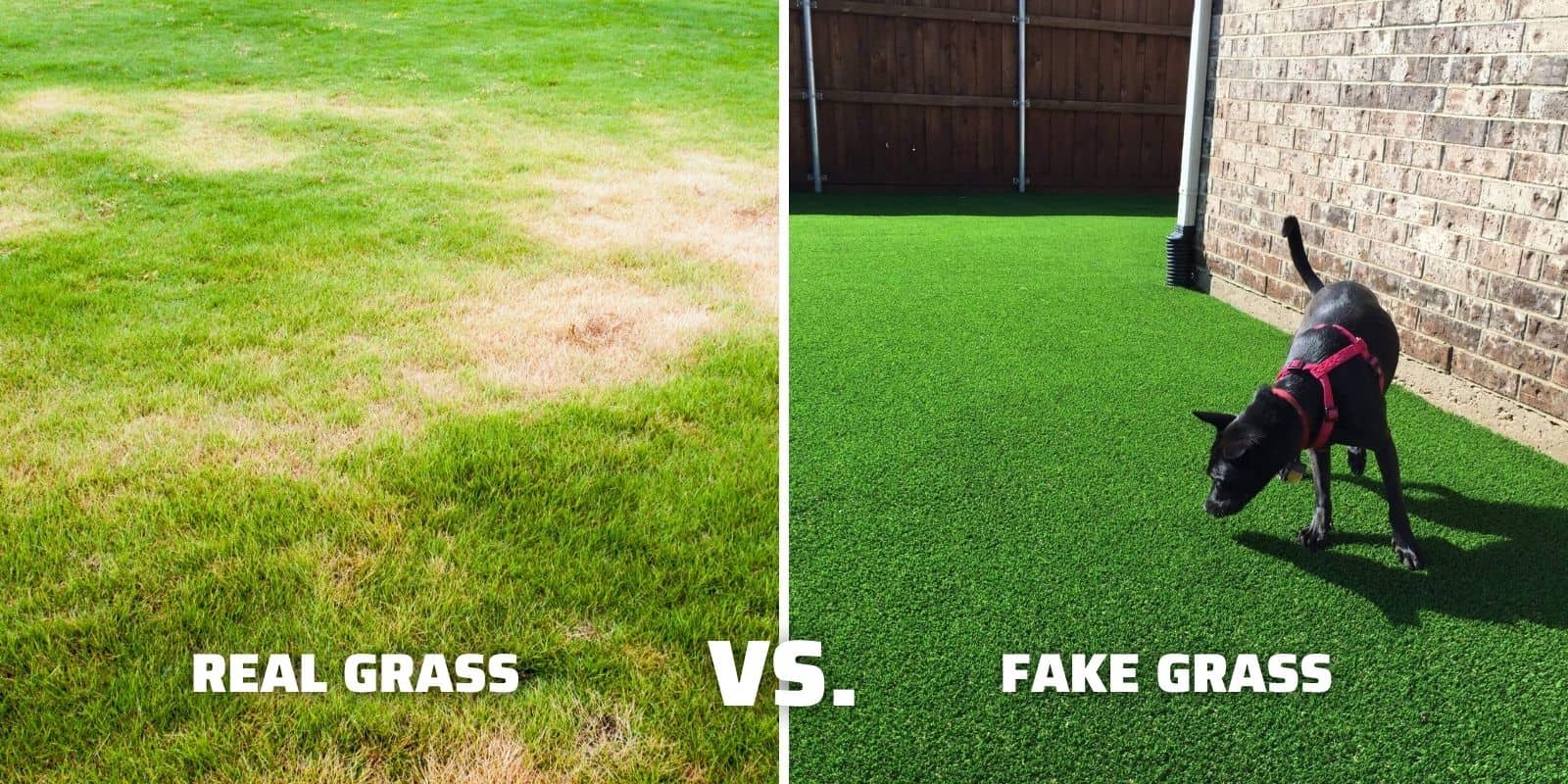 Fake Grass for Dogs A Complete Pet Turf Buyer’s Guide